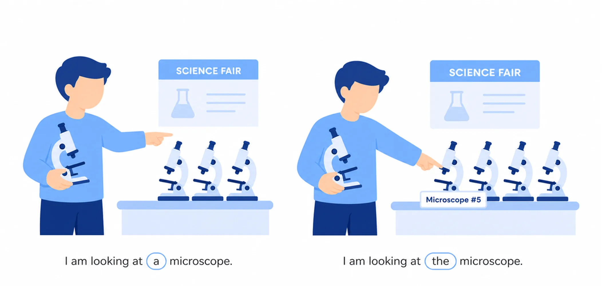A/An vs The — comparison with examples