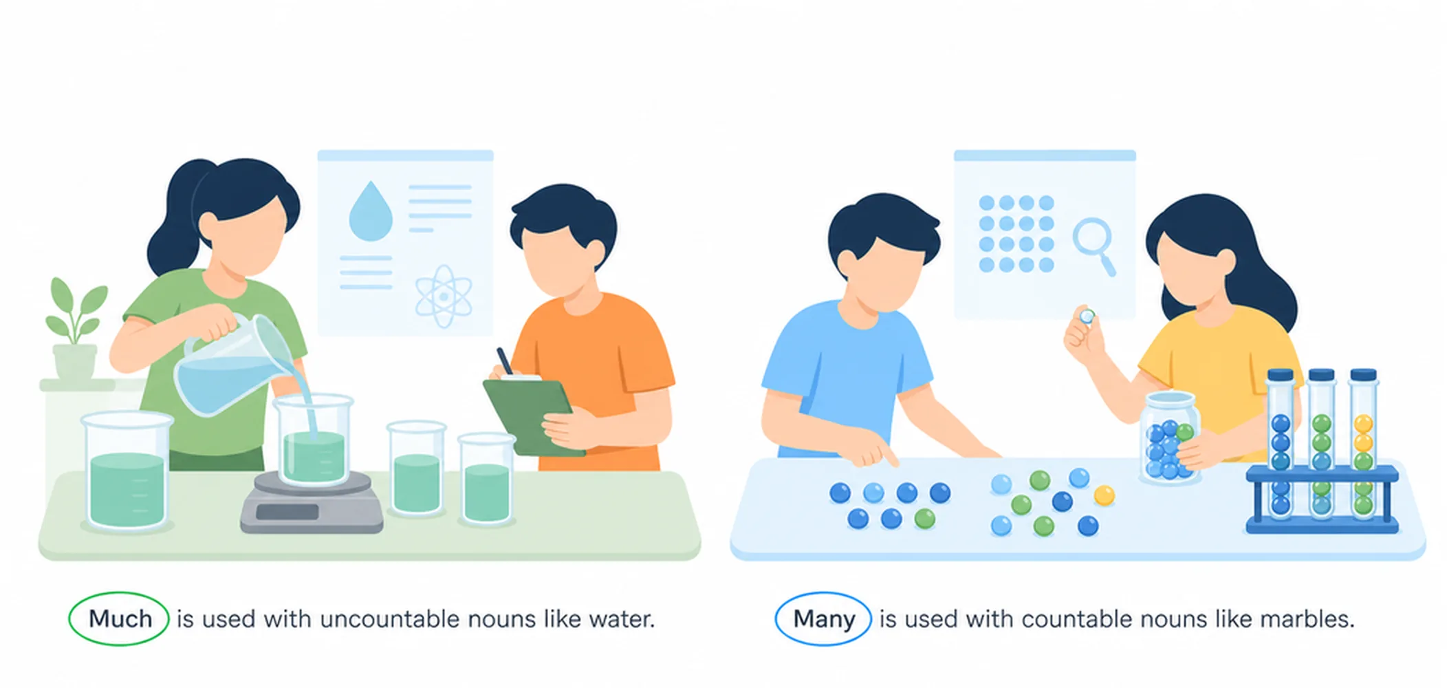 Much vs many — difference and usage