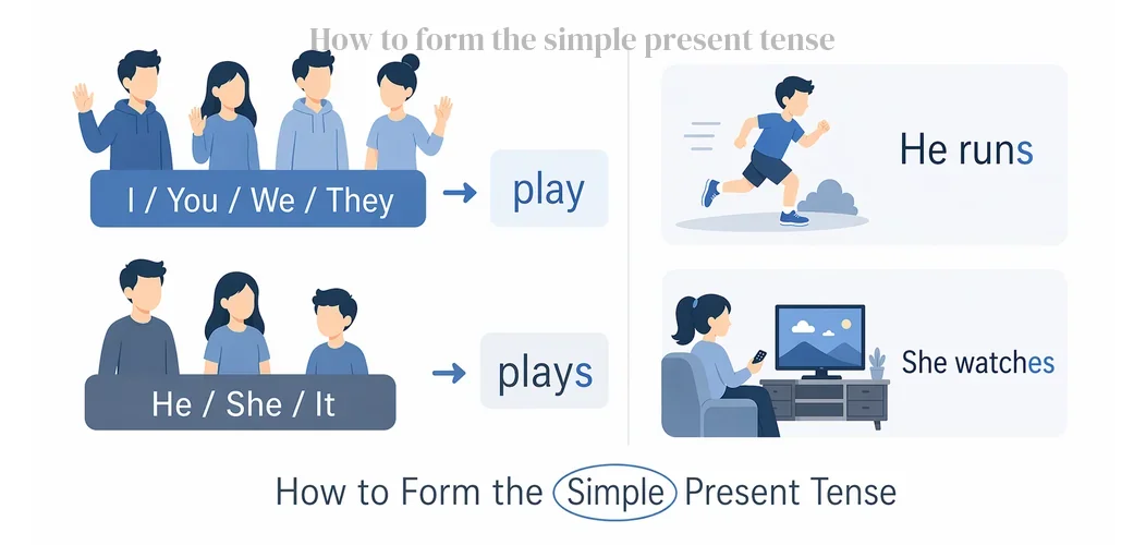 How to form the simple present tense