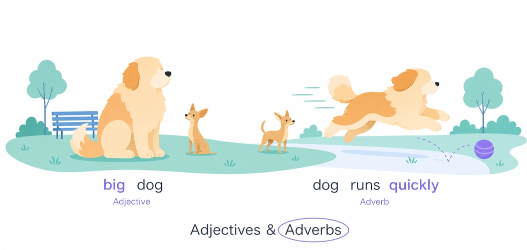 Adjectives & Adverbs