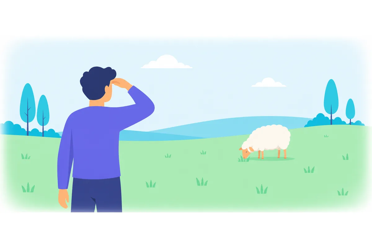 I saw one sheep in the field.